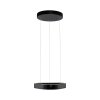 Paul Neuhaus Q-Serie Q-STRETTO pendant light LED black, 2-light sources, Remote control