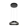 Paul Neuhaus Q-Serie Q-STRETTO pendant light LED black, 2-light sources, Remote control