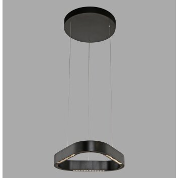 Paul Neuhaus Q-Serie Q-STRETTO pendant light LED black, 2-light sources, Remote control