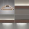 Paul Neuhaus Q-Serie Q-STRETTO pendant light LED bronze, 2-light sources, Remote control
