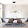 Paul Neuhaus lights TWIST pendant light LED black, 1-light source