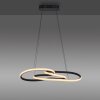 Paul Neuhaus lights TWIST pendant light LED black, 1-light source