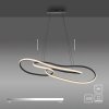 Paul Neuhaus lights TWIST pendant light LED black, 1-light source