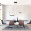 Paul Neuhaus lights TWIST pendant light LED black, 1-light source