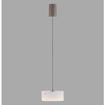 Paul Neuhaus lights MARIKA pendant light LED sand-coloured, 1-light source