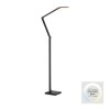 Paul Neuhaus lights SAMSKY floor lamp LED grey, 1-light source