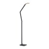Paul Neuhaus lights SAMSKY floor lamp LED grey, 1-light source