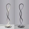 Paul Neuhaus lights TWIST floor lamp LED black, 1-light source