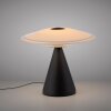 Paul Neuhaus lights ELIPSA table lamp LED black, 1-light source