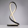 Paul Neuhaus lights TWIST table lamp LED black, 1-light source