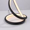 Paul Neuhaus lights TWIST table lamp LED black, 1-light source