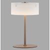 Paul Neuhaus lights MARIKA table lamp LED sand-coloured, 1-light source