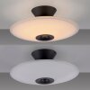 Paul Neuhaus lights ELIPSA ceiling light LED black, 1-light source