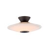 Paul Neuhaus lights ELIPSA ceiling light LED black, 1-light source