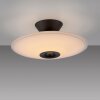 Paul Neuhaus lights ELIPSA ceiling light LED black, 1-light source