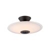 Paul Neuhaus lights ELIPSA ceiling light LED black, 1-light source