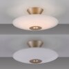 Paul Neuhaus lights ELIPSA ceiling light LED bronze, 1-light source
