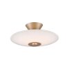 Paul Neuhaus lights ELIPSA ceiling light LED bronze, 1-light source