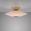 Paul Neuhaus lights ELIPSA ceiling light LED bronze, 1-light source