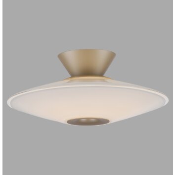 Paul Neuhaus lights ELIPSA ceiling light LED bronze, 1-light source