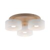 Paul Neuhaus lights MARIKA ceiling light LED sand-coloured, 3-light sources