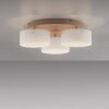 Paul Neuhaus lights MARIKA ceiling light LED sand-coloured, 3-light sources
