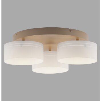 Paul Neuhaus lights MARIKA ceiling light LED sand-coloured, 3-light sources