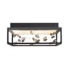 Paul Neuhaus lights SKINA ceiling light LED black, 1-light source, Remote control