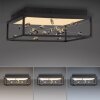 Paul Neuhaus lights SKINA ceiling light LED black, 1-light source, Remote control