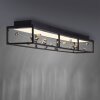 Paul Neuhaus lights SKINA ceiling light LED black, 1-light source, Remote control
