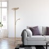 Paul Neuhaus lights ARTUR floor lamp LED sand-coloured, 2-light sources