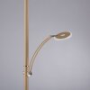 Paul Neuhaus lights ARTUR floor lamp LED sand-coloured, 2-light sources
