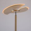 Paul Neuhaus lights ARTUR floor lamp LED sand-coloured, 2-light sources