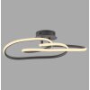 Paul Neuhaus lights TWIST ceiling light LED black, 1-light source
