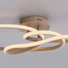Paul Neuhaus lights TWIST ceiling light LED sand-coloured, 1-light source
