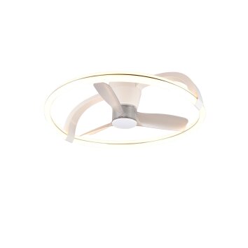 Reality lights mit Ceiling fan light LED white, 1-light source, Remote control