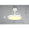 Reality lights mit Ceiling fan light LED white, 1-light source, Remote control