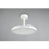 Reality lights mit Ceiling fan light LED white, 1-light source, Remote control