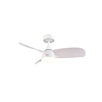 Reality lights mit Ceiling fan light LED white, 1-light source, Remote control