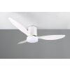 Reality lights mit Ceiling fan light LED white, 1-light source, Remote control