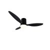 Reality lights mit Ceiling fan light LED black, 1-light source, Remote control