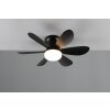 Reality lights mit Ceiling fan light LED black, 1-light source, Remote control