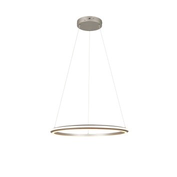 Trio lights Amador pendant light LED matt nickel, 1-light source