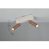 Trio lights Ambala ceiling spotlight LED brown, 2-light sources