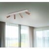 Trio lights Ambala ceiling spotlight LED brown, 4-light sources