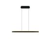 Trio lights Arcola pendant light LED black, 1-light source