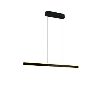 Trio lights Arcola pendant light LED black, 1-light source