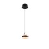 Trio lights Dios pendant light LED black, 1-light source