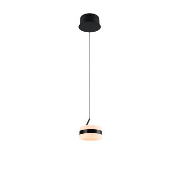 Trio lights Dios pendant light LED black, 1-light source