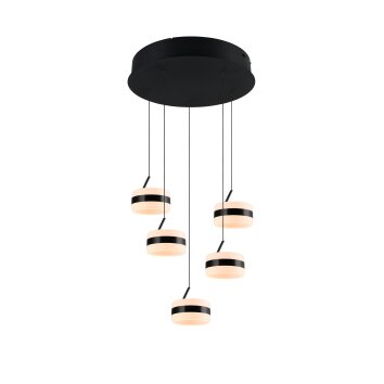 Trio lights Dios pendant light LED black, 5-light sources